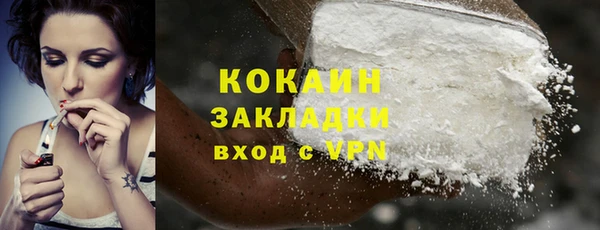винт Инсар