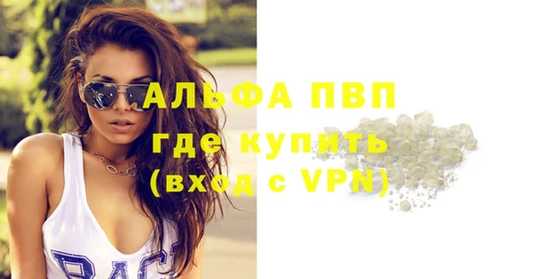 винт Инсар