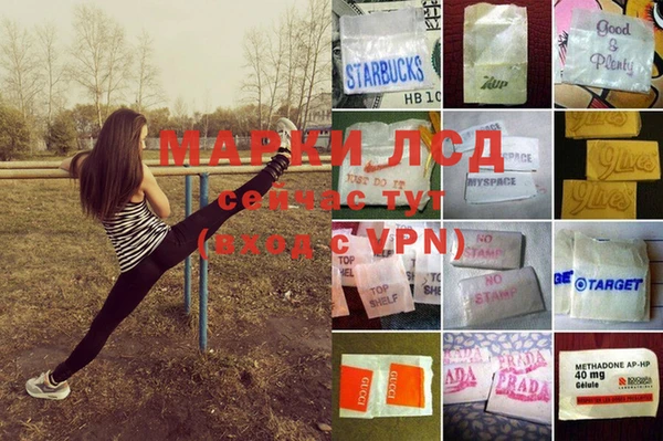 винт Инсар