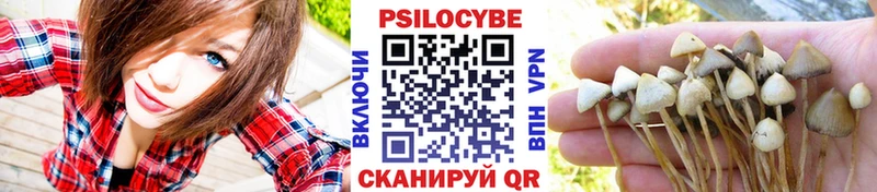 Псилоцибиновые грибы ЛСД  Купить закладки  Вилючинск 